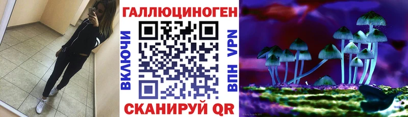 Псилоцибиновые грибы Psilocybe продажа наркотиков Краснодар
